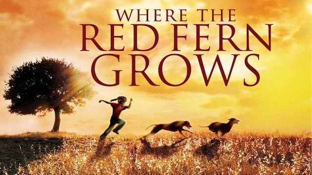 Where the Red Fern Grows 1 Movie Trailer | FlixHouse.com
