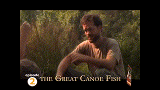 Sugar Creek 2 - Great Canoe Fish Movie Trailer | FlixHouse.com