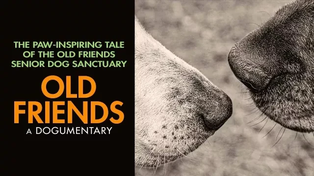 Old Friends: A Dogumentary | Trailer | Watch Film Free @FlixHouse