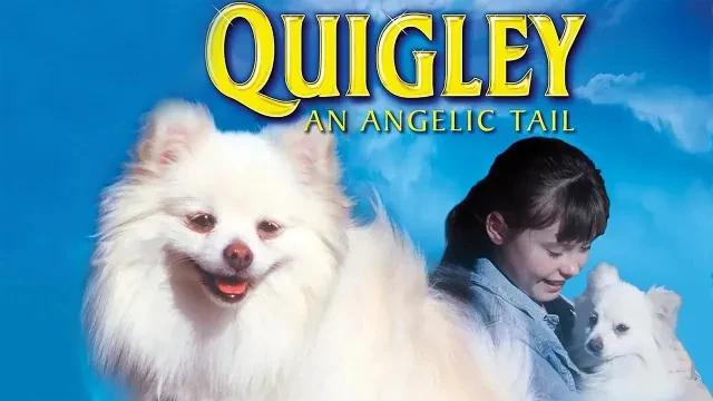 Quigley | Official Trailer | Watch Movie Free @FlixHouse
