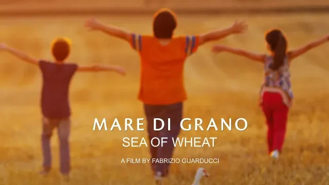 Sea of Wheat | Official Trailer | Watch Movie Free @FlixHouse
