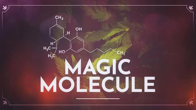 Magic Molecule | Official Trailer | Watch Movie Free @FlixHouse