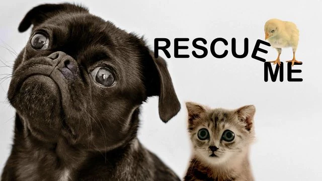 Rescue Me | Official Trailer | Watch Movie Free @FlixHouse