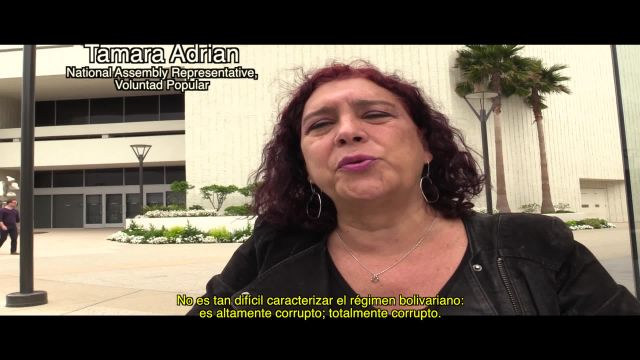 In The Shadow Of The Revolution